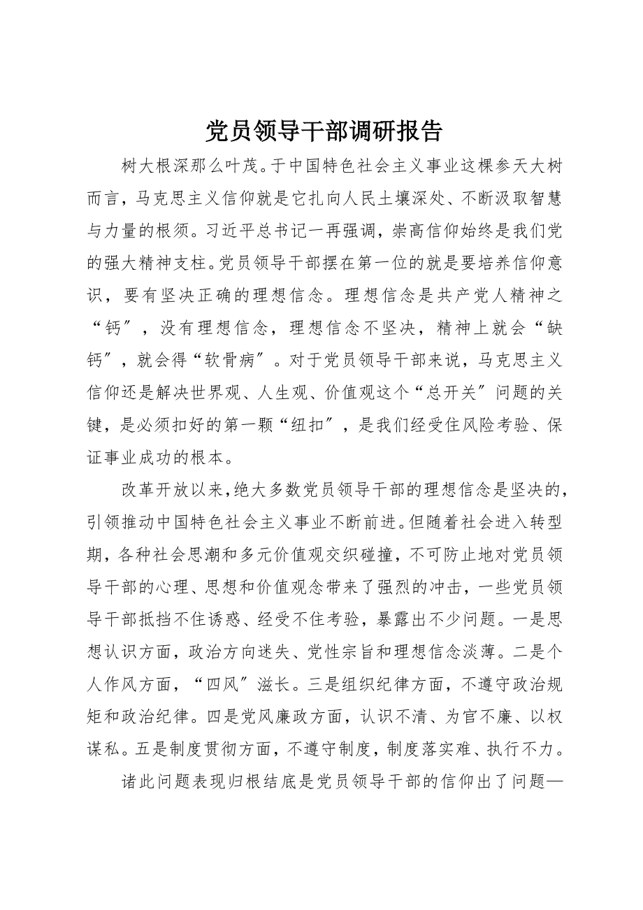 2023年党员领导干部调研报告.docx_第1页