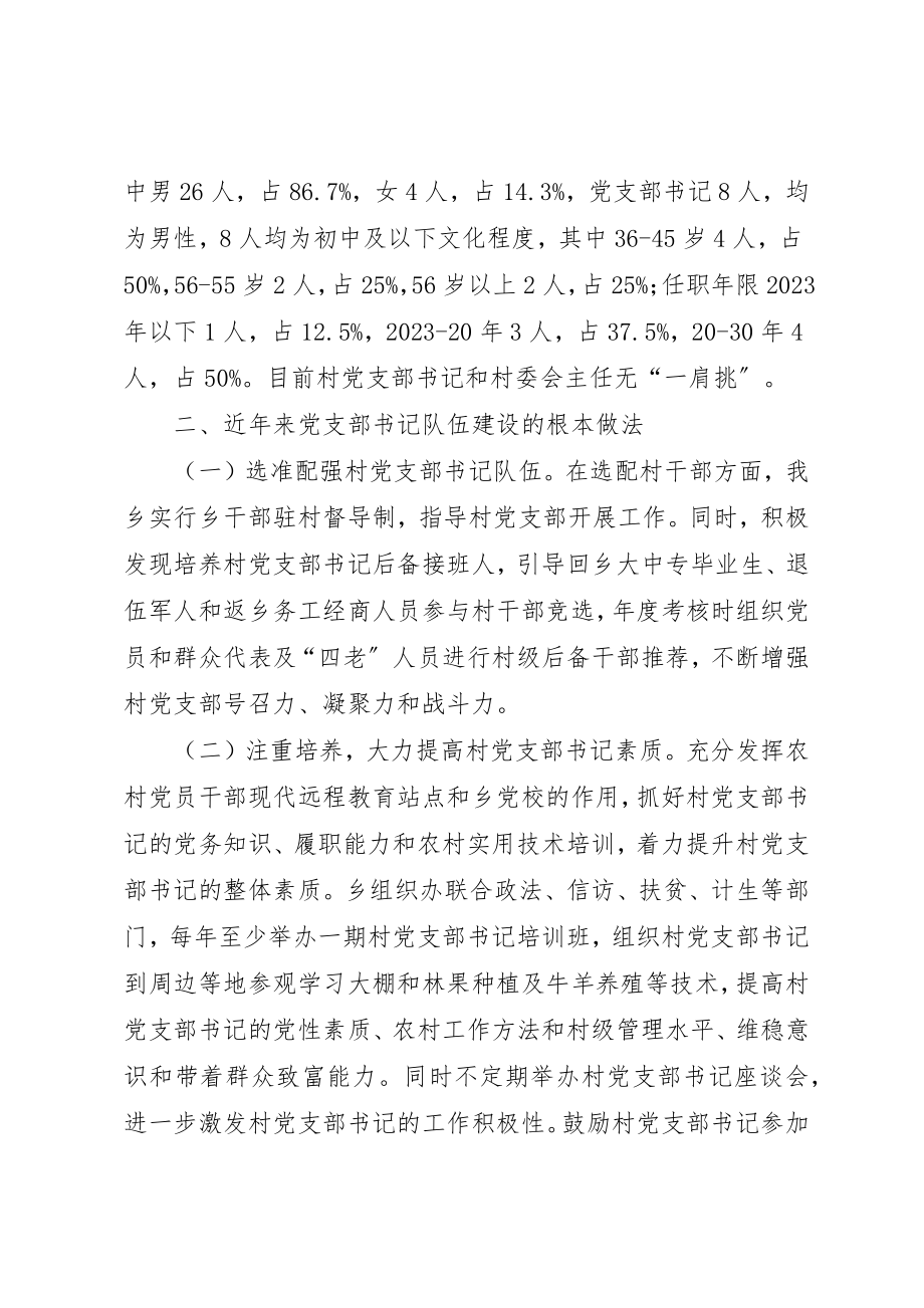 2023年党组织书记队伍建设调研报告.docx_第2页