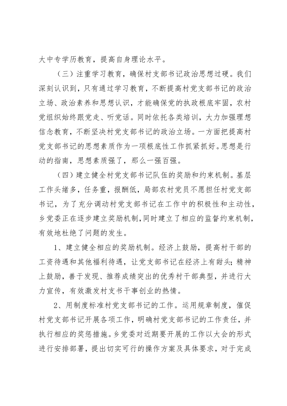 2023年党组织书记队伍建设调研报告.docx_第3页