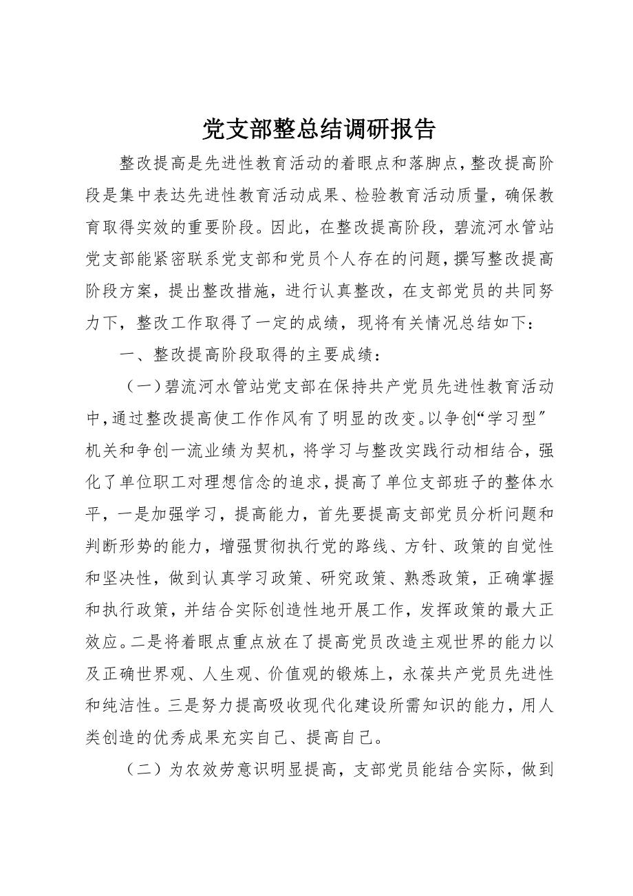 2023年党支部整总结调研报告.docx_第1页