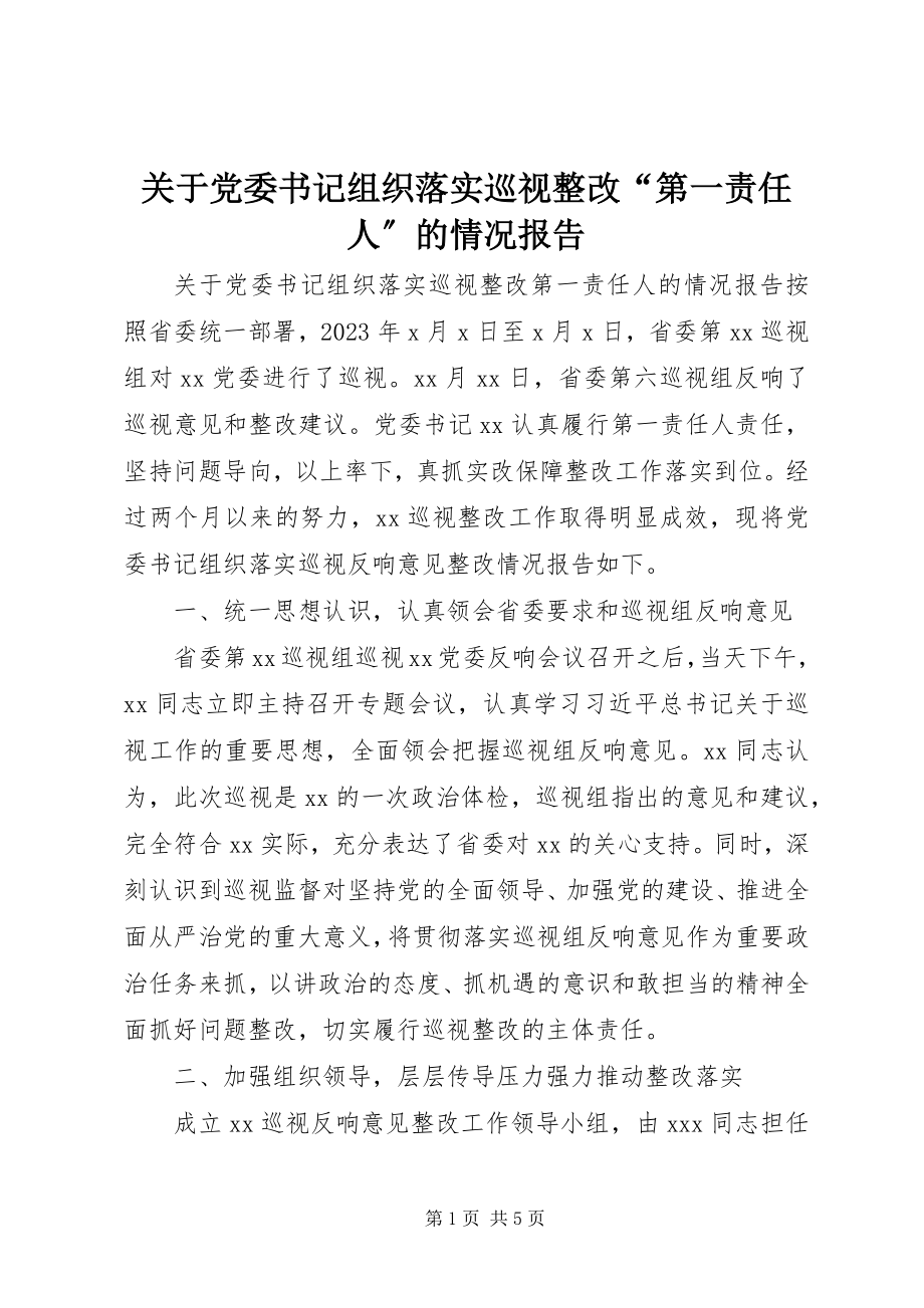 2023年党委书记组织落实巡视整改“第一责任人”的情况报告.docx_第1页