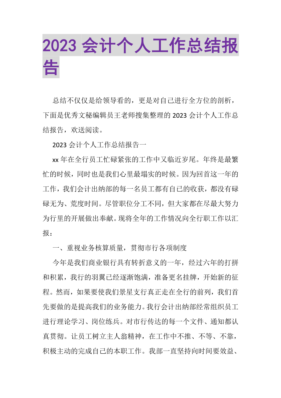 2023年会计个人工作总结报告.doc_第1页