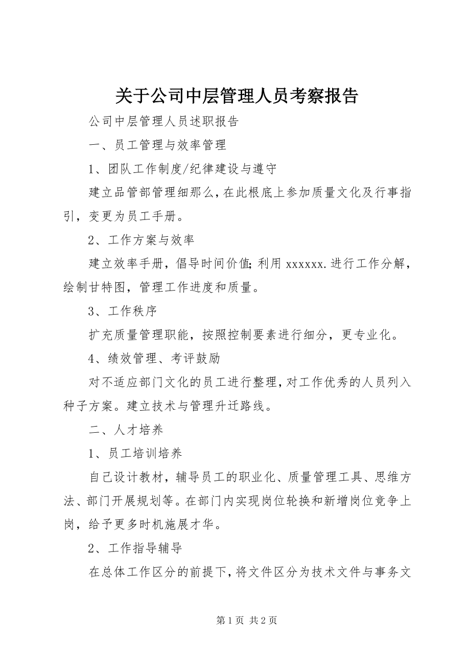 2023年公司中层管理人员考察报告.docx_第1页