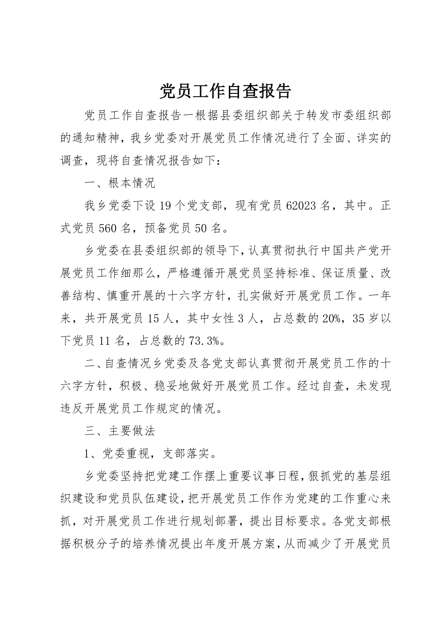 2023年党员工作自查报告.docx_第1页