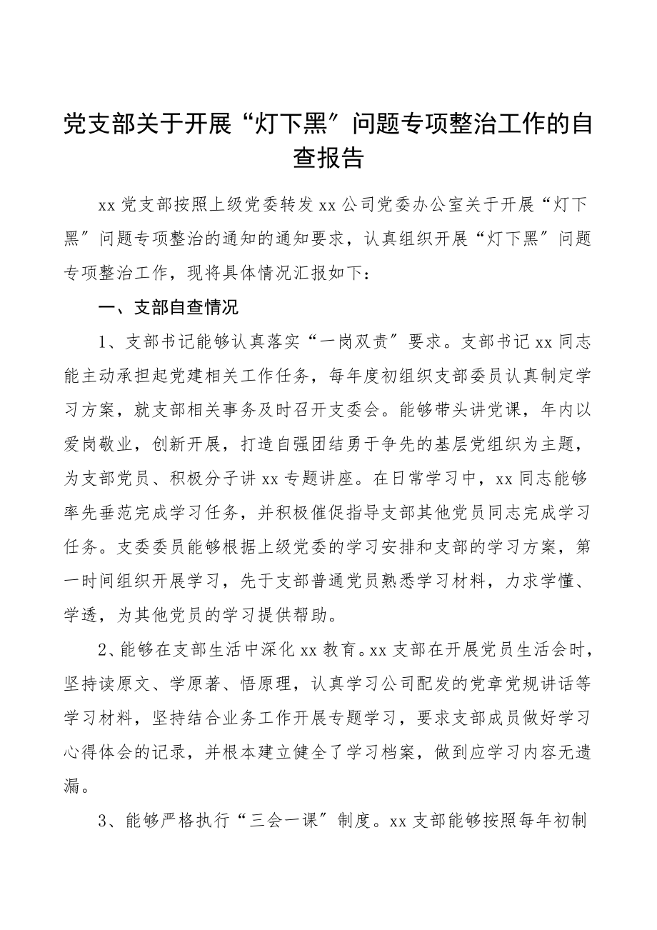 2023年党支部灯下黑问题专项整治工作情况自查报告党建工作总结汇报报告集团公司企业.doc_第1页