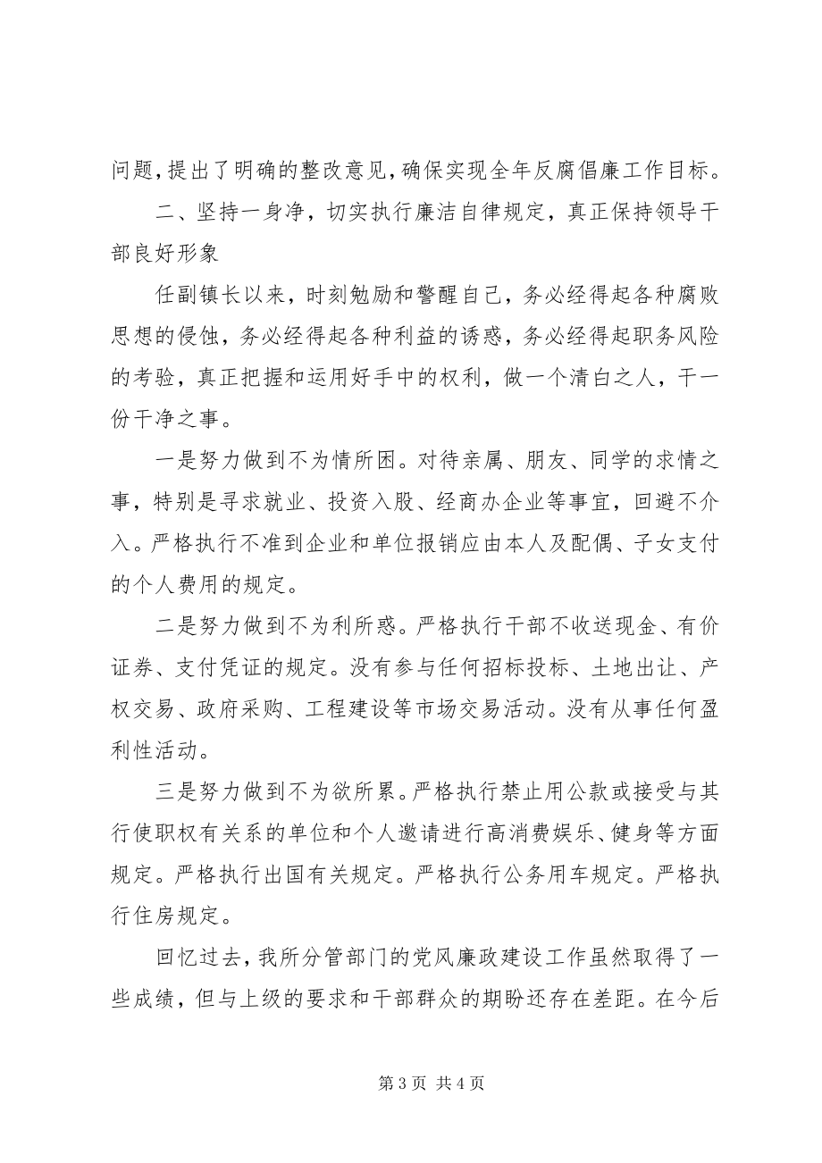 2023年副镇长兼派出所所长年度述职述廉报告.docx_第3页