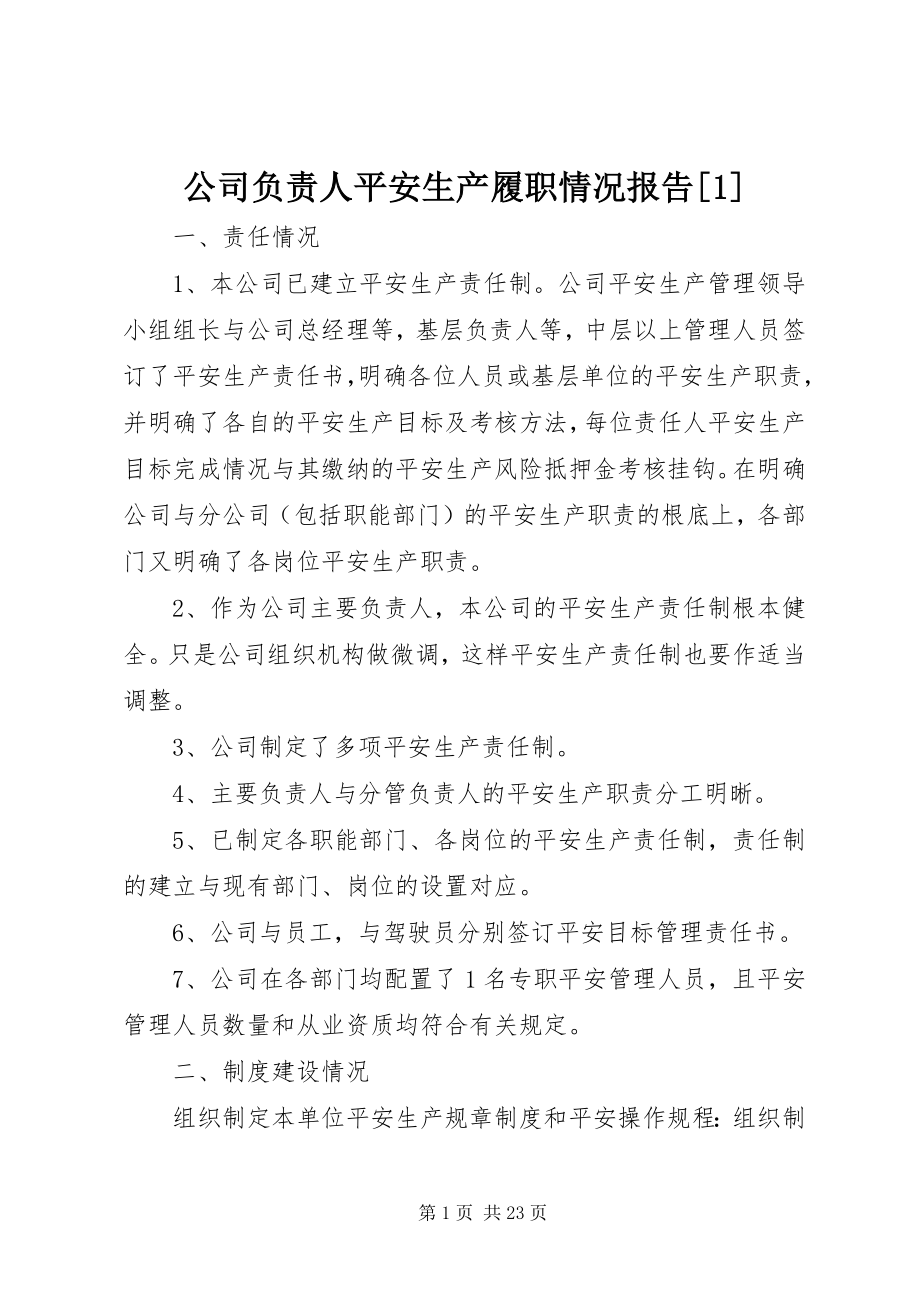 2023年公司负责人安全生产履职情况报告1.docx_第1页