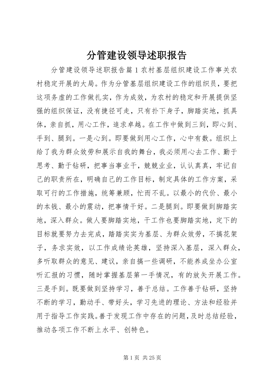 2023年分管建设领导述职报告.docx_第1页