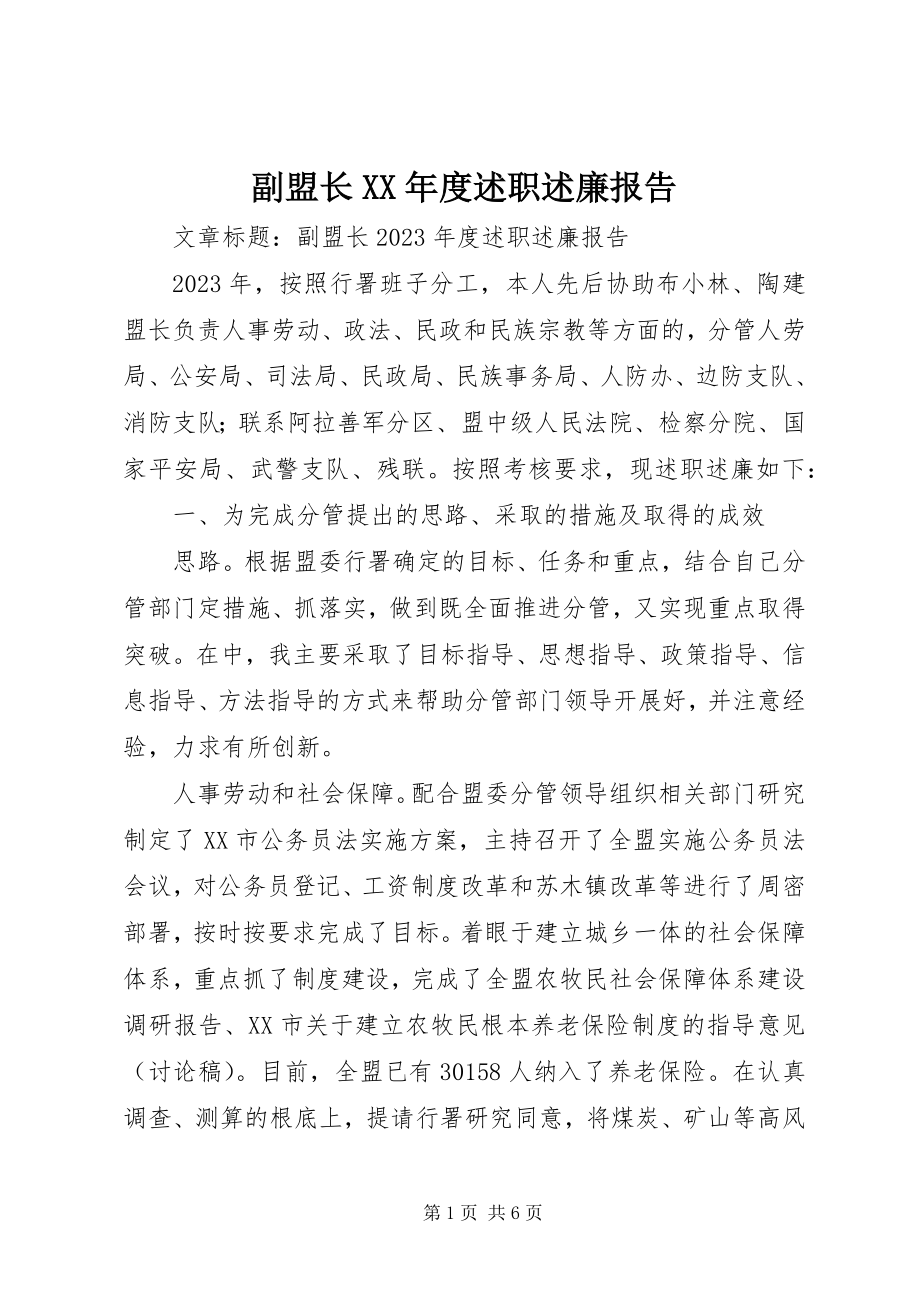 2023年副盟长某年度述职述廉报告.docx_第1页