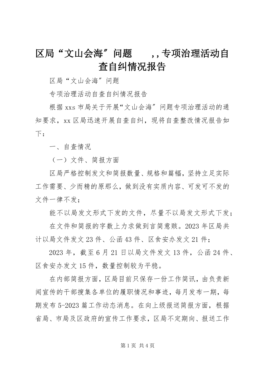 2023年区局“文山会海”问题　　专项治理活动自查自纠情况报告.docx_第1页