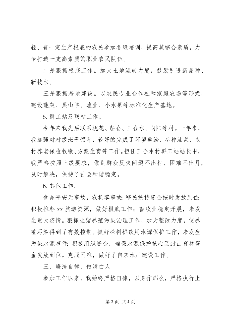 2023年副镇长述职述廉工作报告.docx_第3页