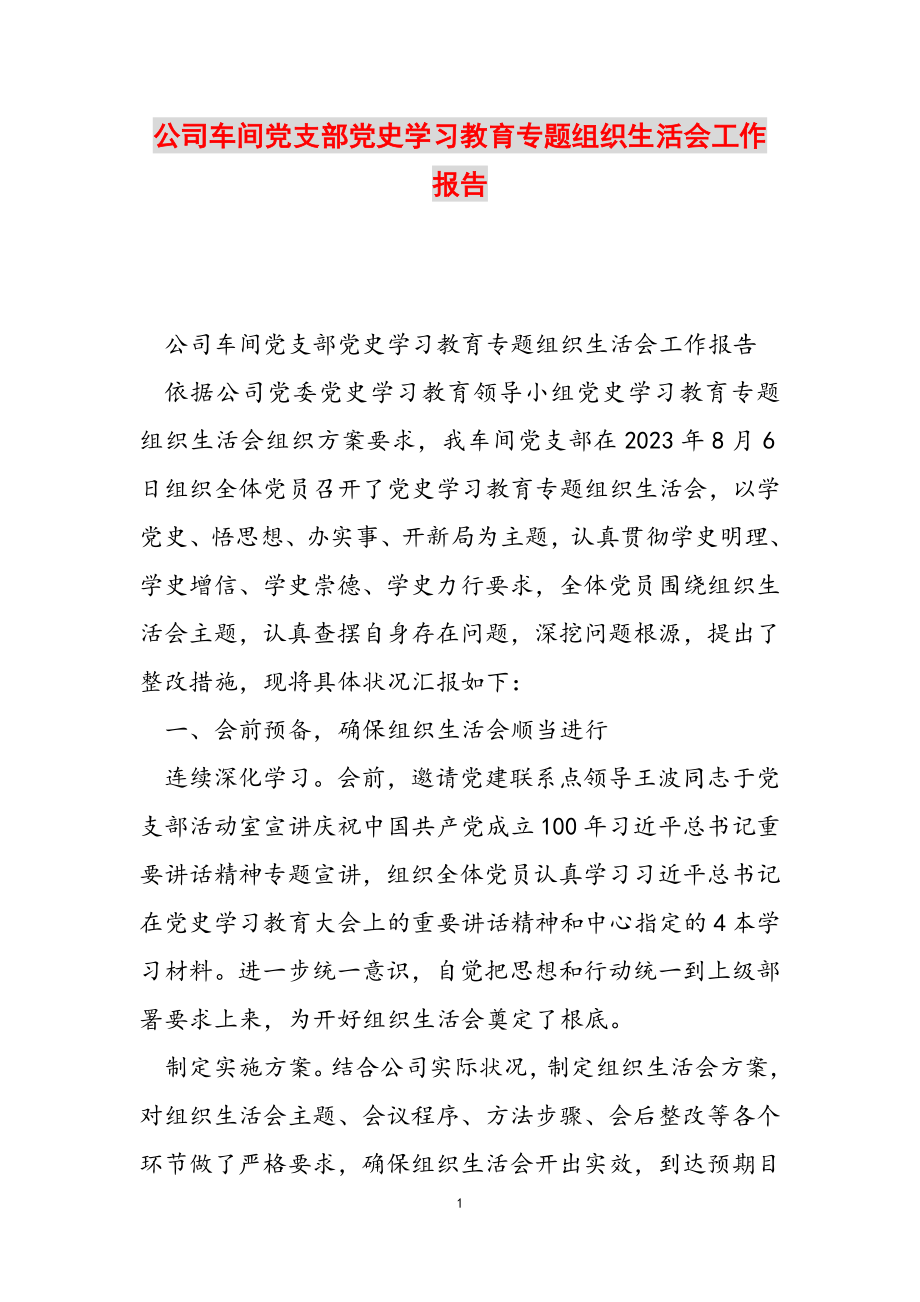 2023年公司车间党支部党史学习教育专题组织生活会工作报告.doc_第1页