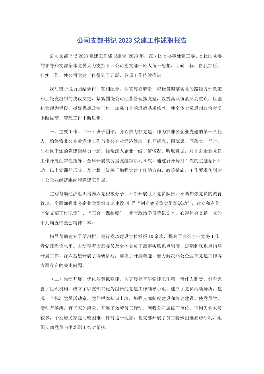 2023年公司支部书记党建工作述职报告.docx_第1页