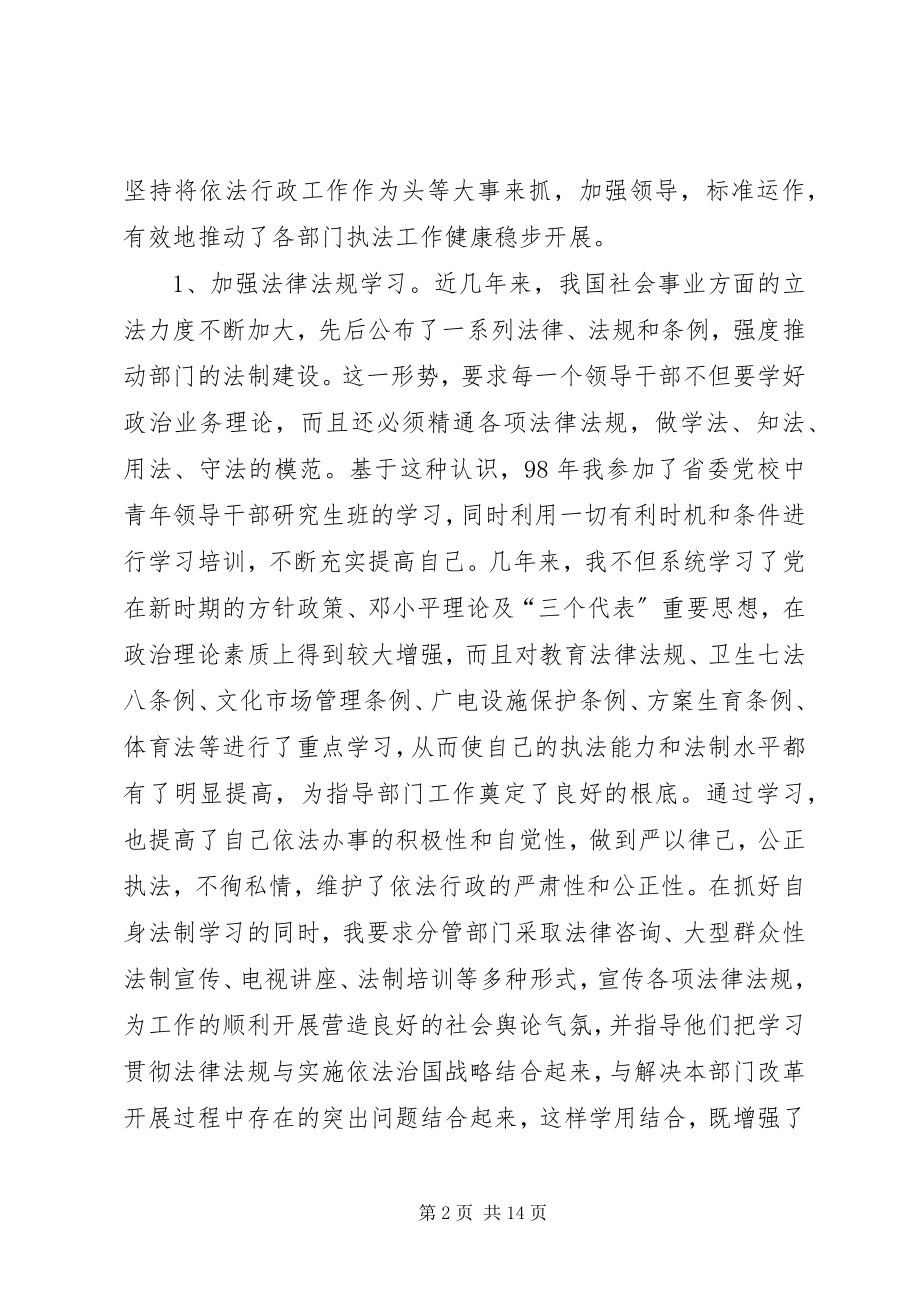 2023年副县长个人述职报告.docx_第2页