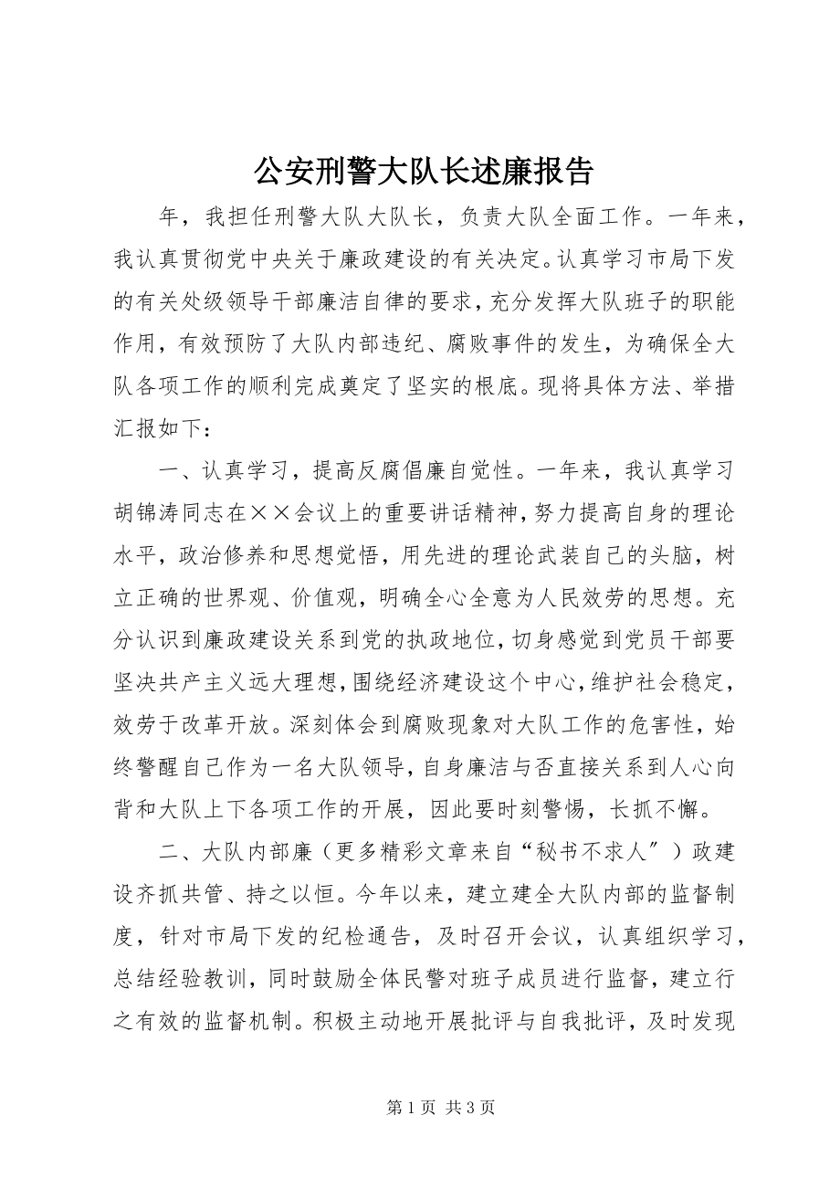 2023年公安刑警大队长述廉报告.docx_第1页