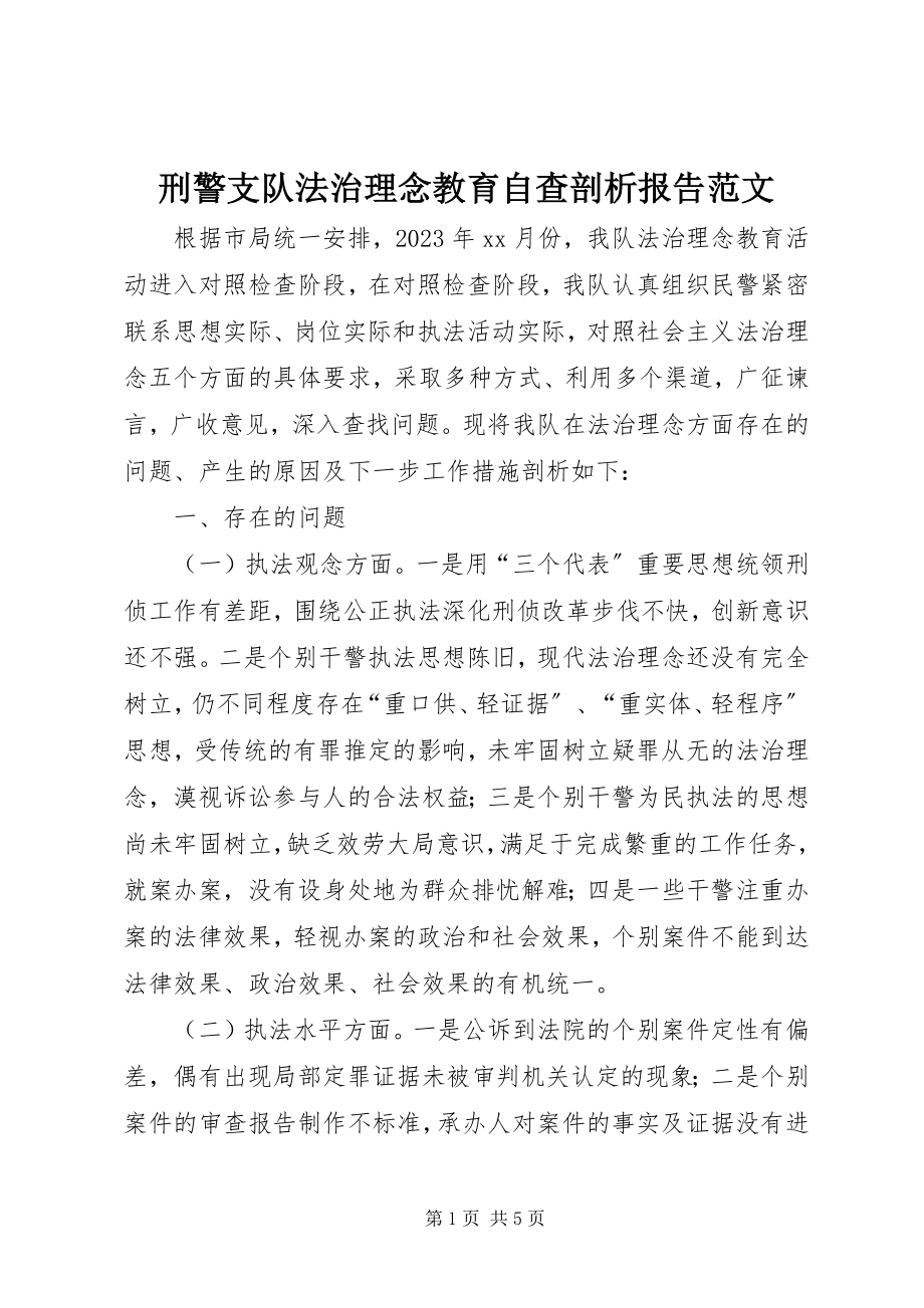 2023年刑警支队法治理念教育自查剖析报告2.docx_第1页