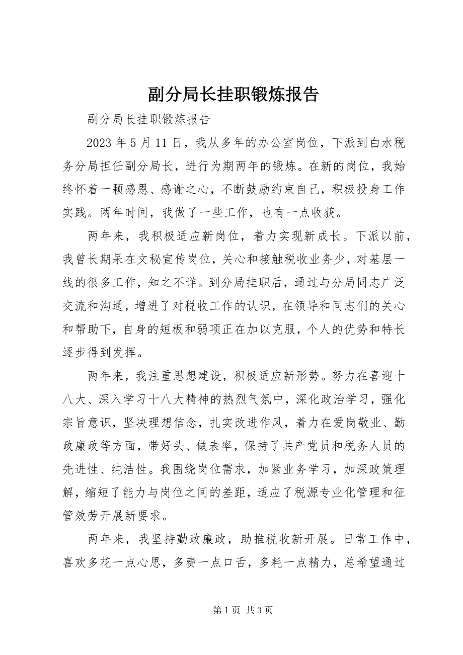 2023年副分局长挂职锻炼报告.docx_第1页