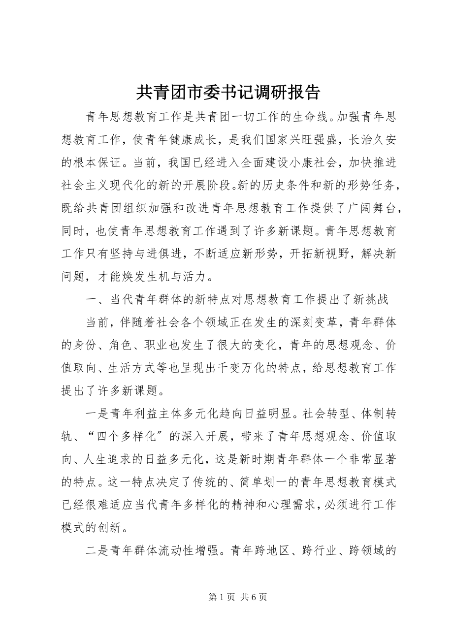 2023年共青团市委书记调研报告.docx_第1页