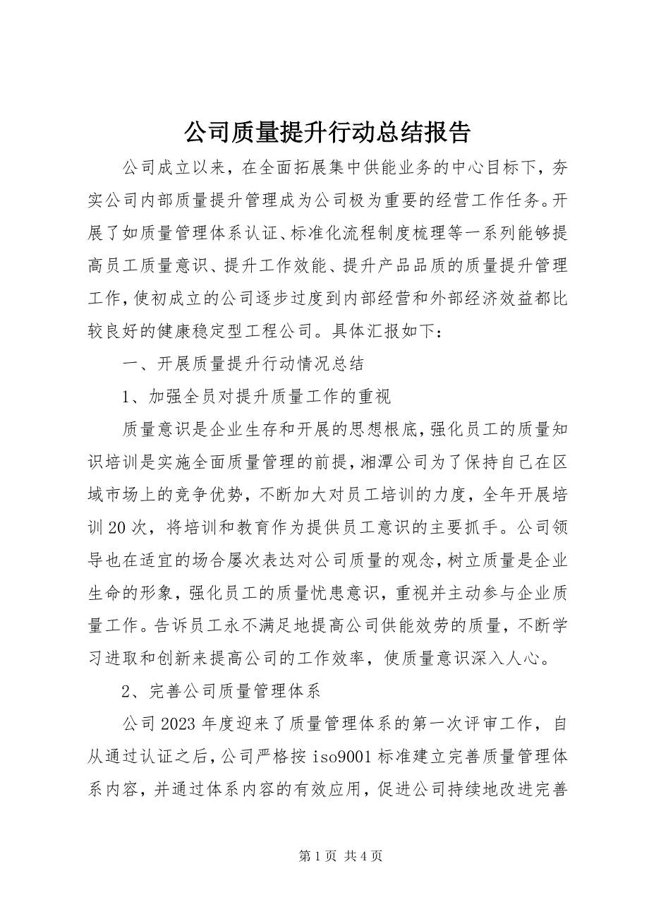 2023年公司质量提升行动总结报告.docx_第1页