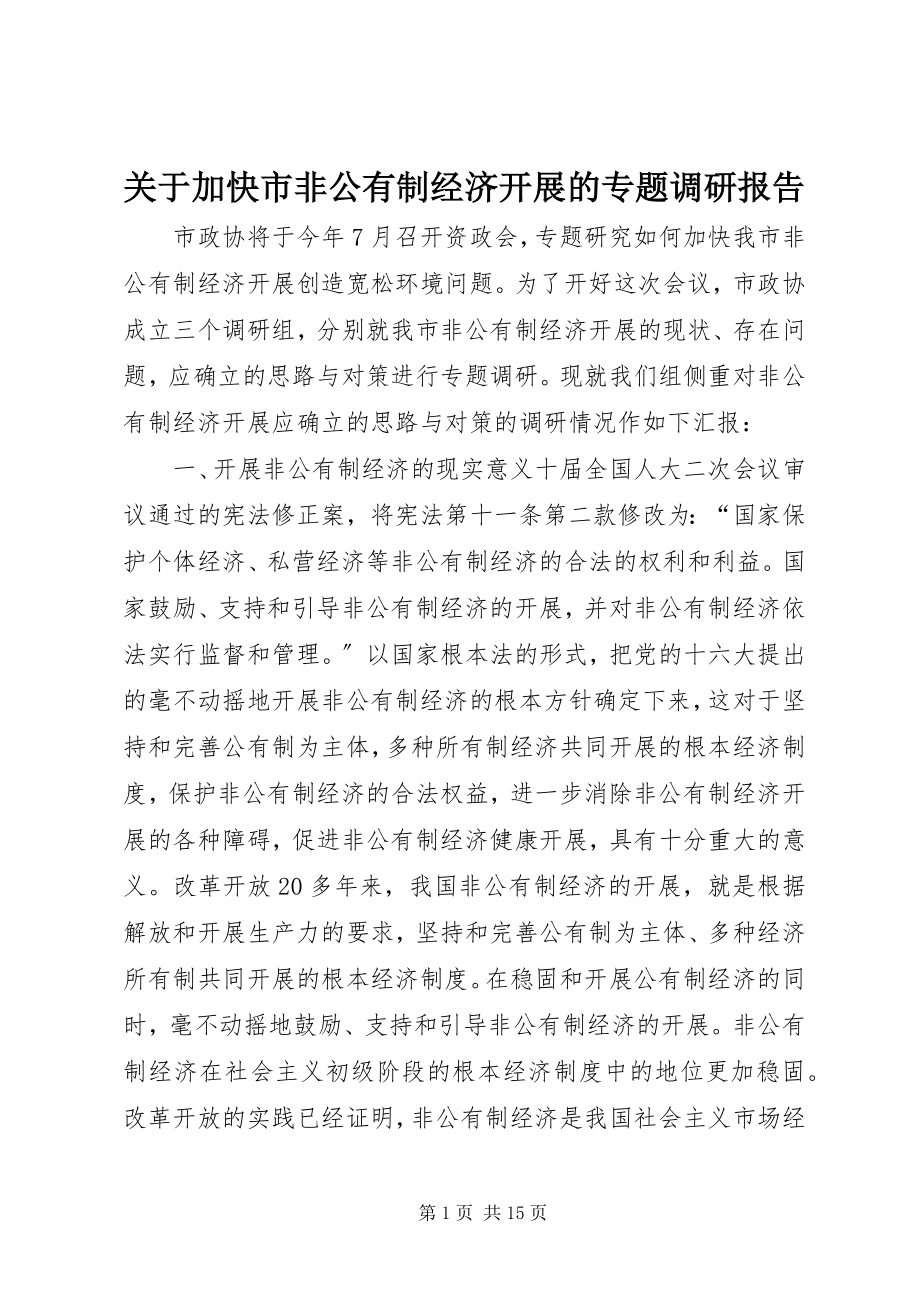 2023年加快市非公有制经济发展的专题调研报告.docx_第1页