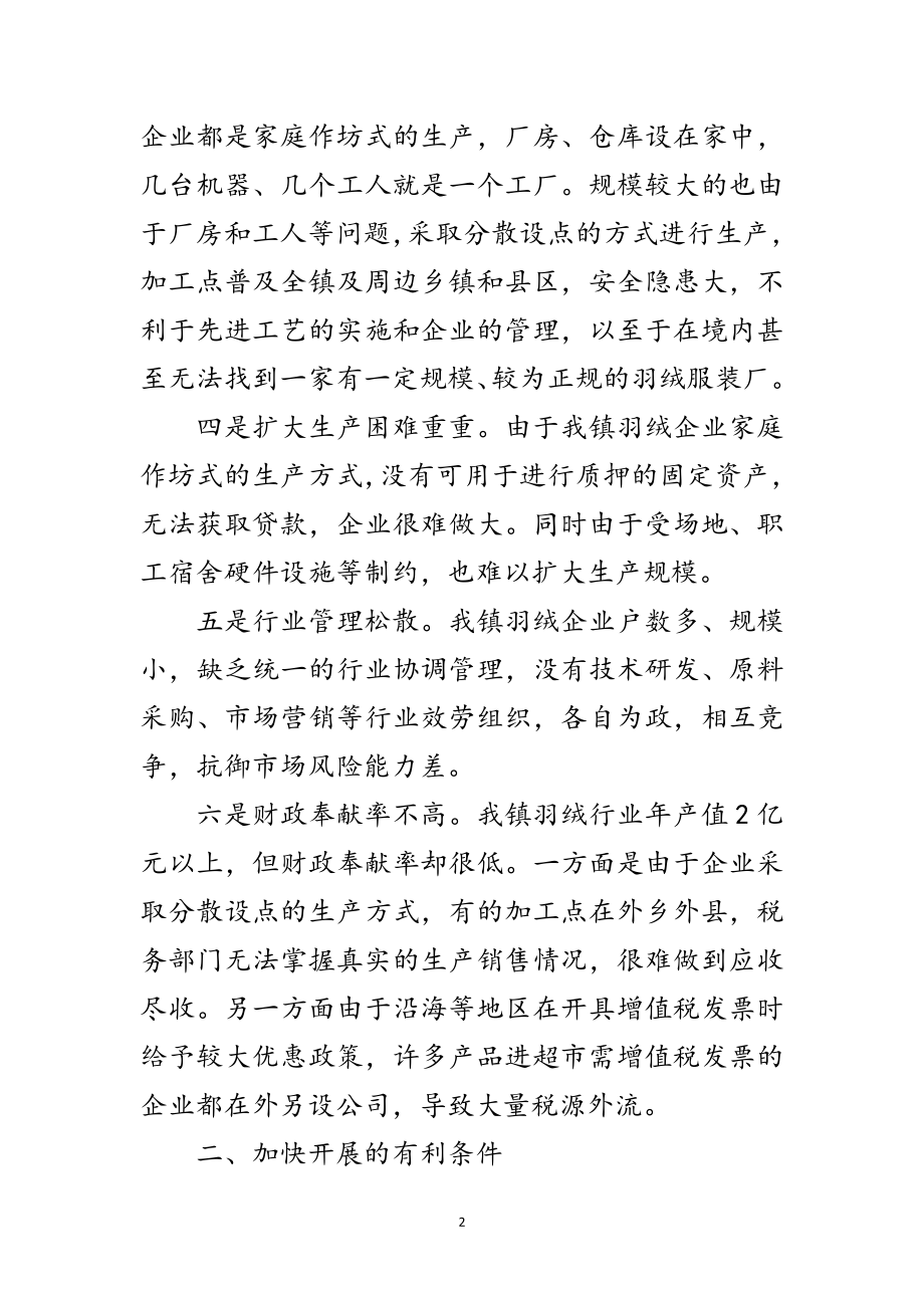 2023年加快羽绒服装产业发展报告范文.doc_第2页