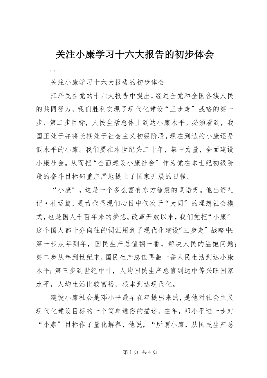 2023年关注小康学习十六大报告的初步体会.docx_第1页