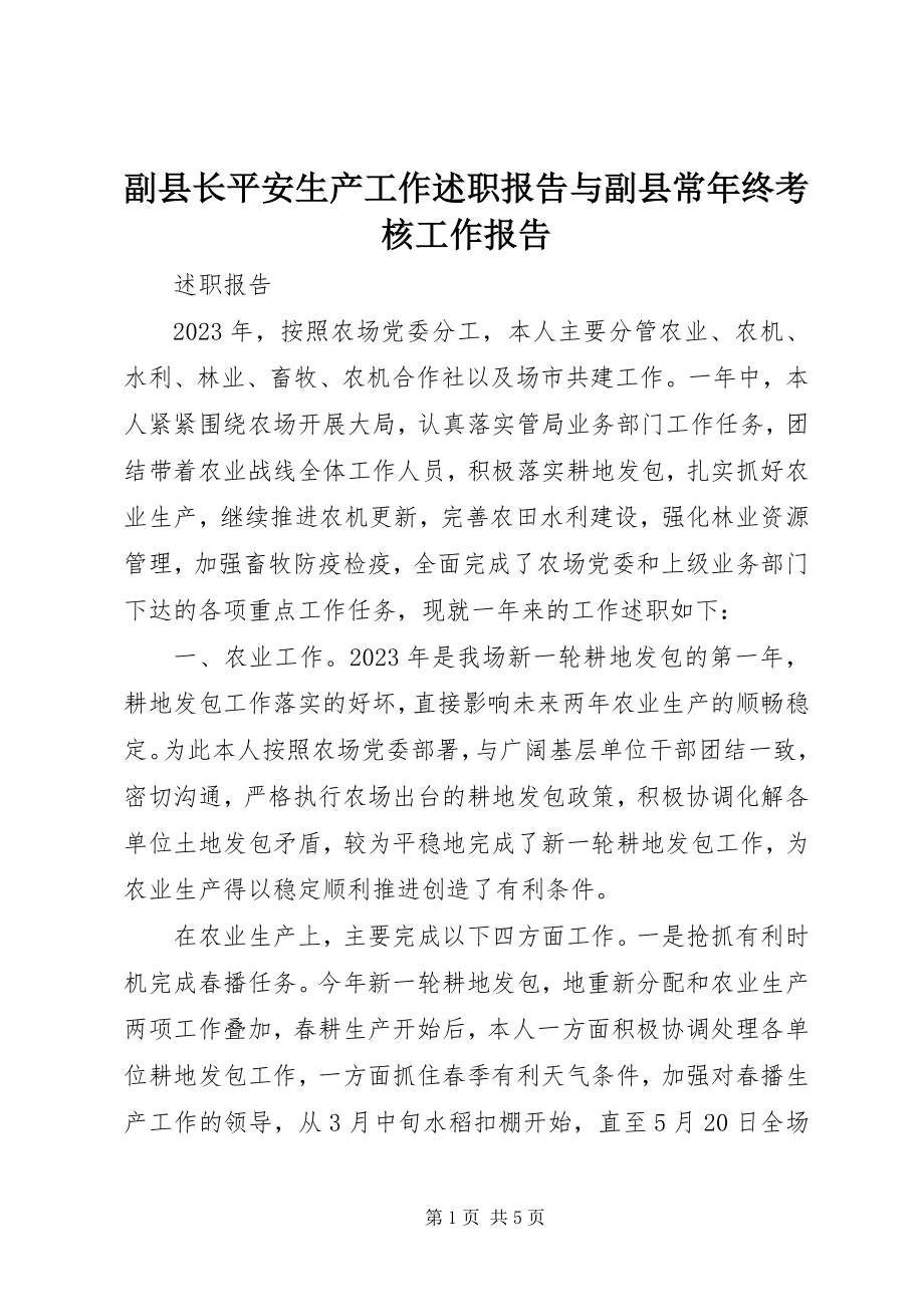 2023年副县长安全生产工作述职报告与副县长年终考核工作报告.docx_第1页