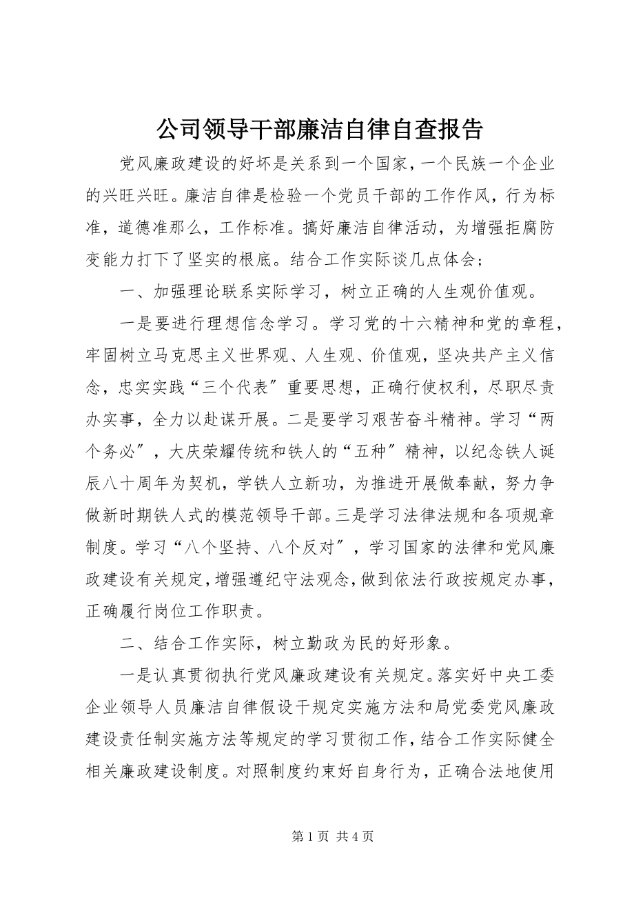 2023年公司领导干部廉洁自律自查报告.docx_第1页