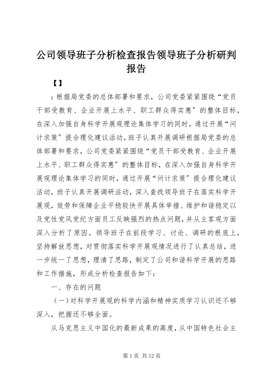 2023年公司领导班子分析检查报告领导班子分析研判报告.docx_第1页