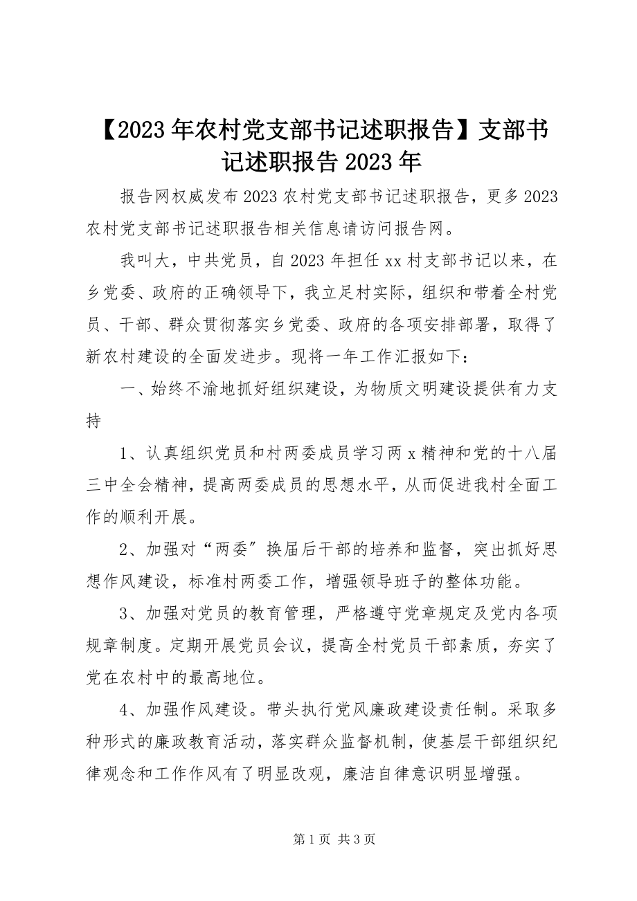 2023年农村党支部书记述职报告支部书记述职报告新编.docx_第1页