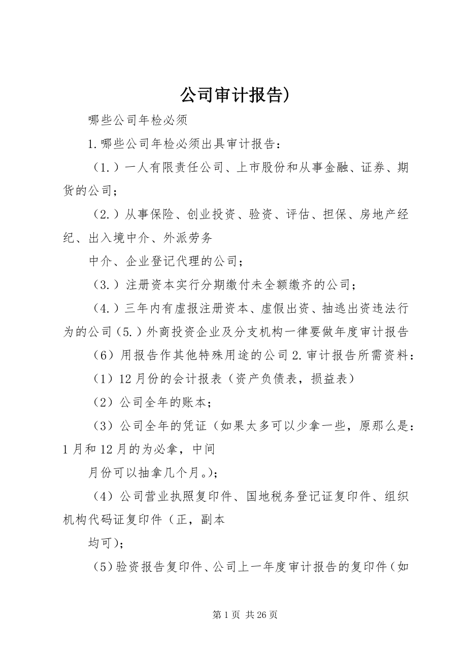 2023年公司审计报告2.docx_第1页