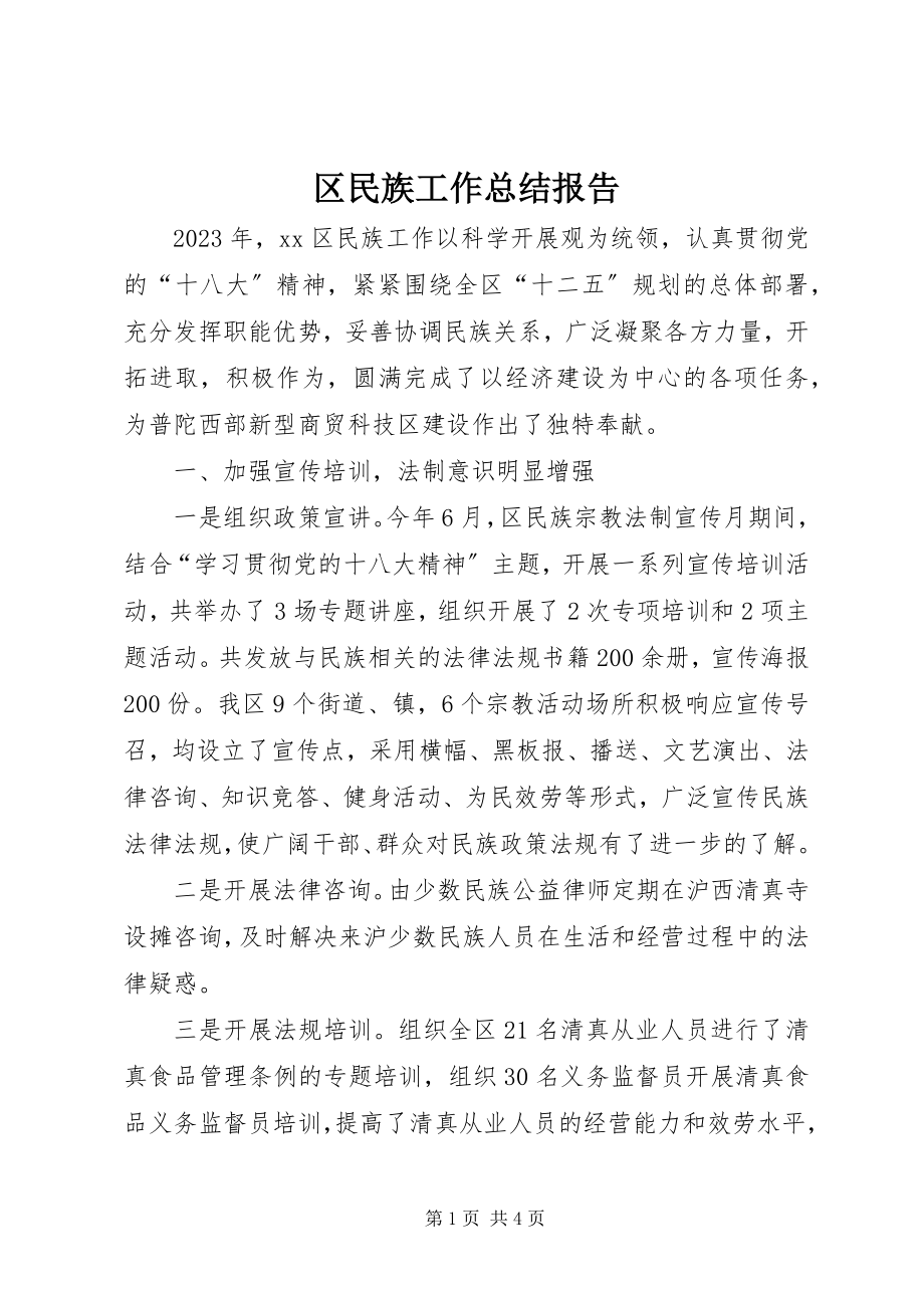 2023年区民族工作总结报告.docx_第1页