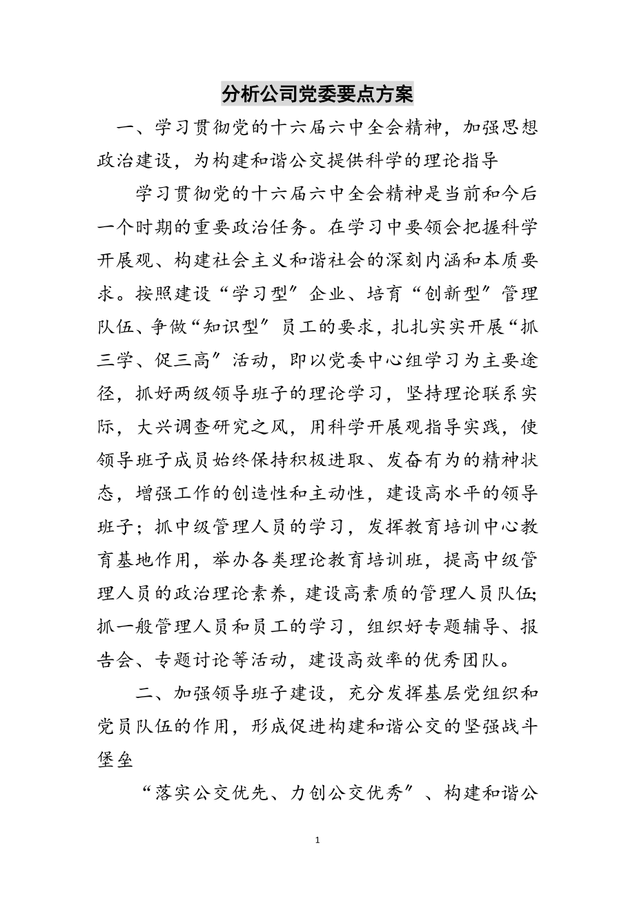 2023年分析公司党委要点计划范文.doc_第1页