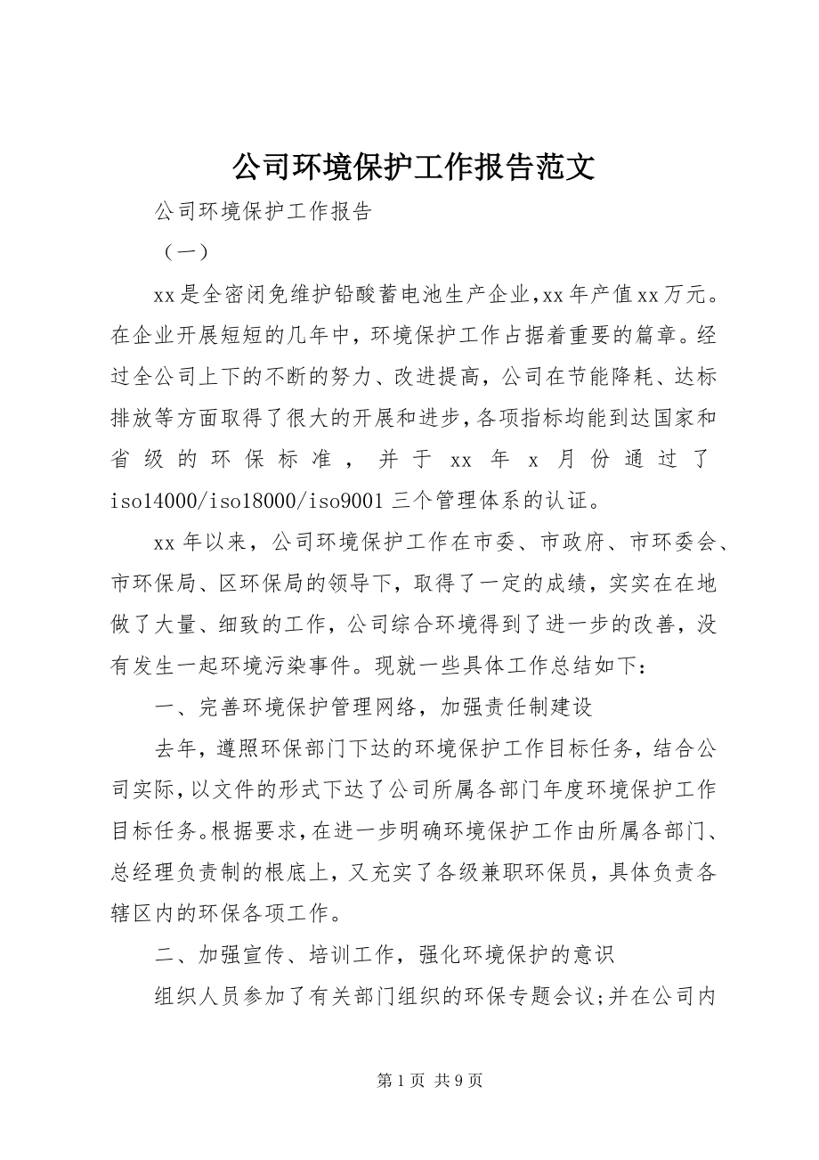 2023年公司环境保护工作报告.docx_第1页