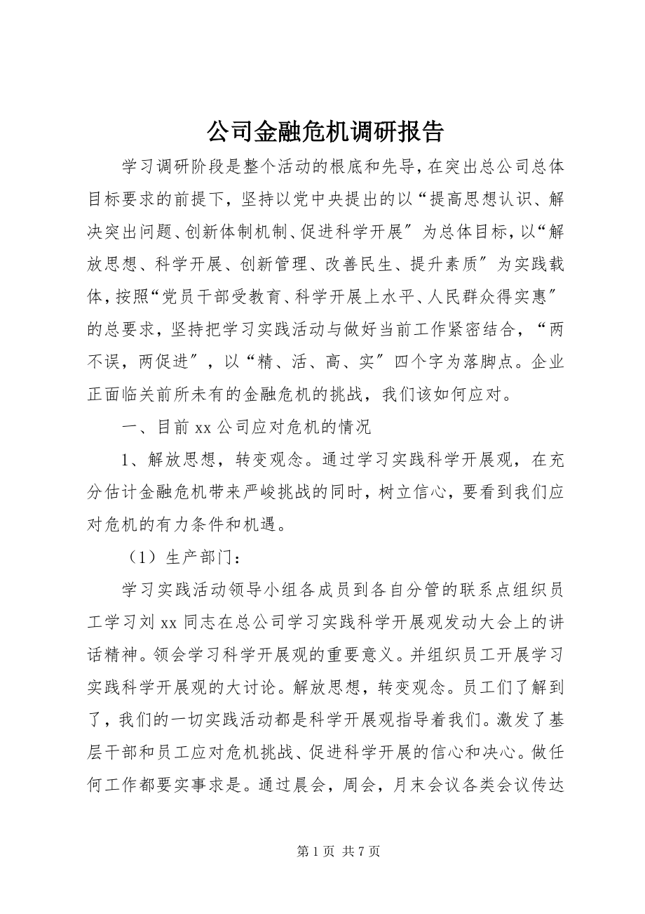 2023年公司金融危机调研报告.docx_第1页