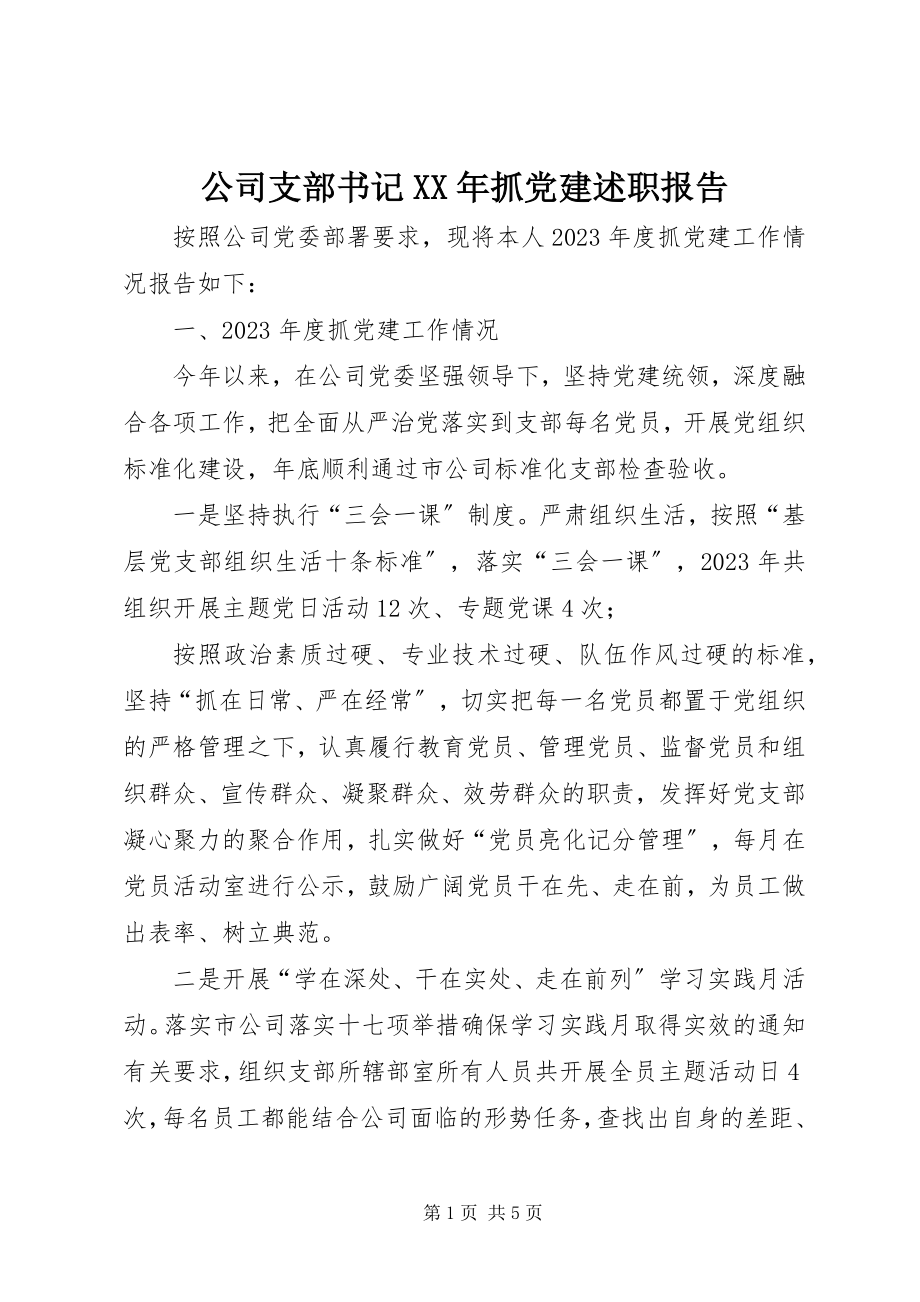 2023年公司支部书记某年抓党建述职报告.docx_第1页