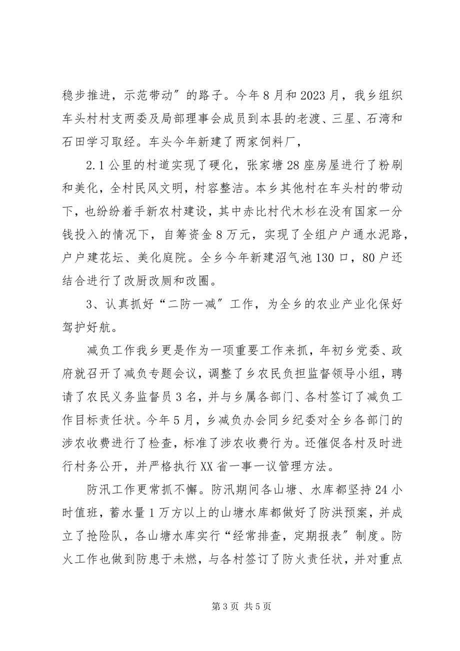 2023年副乡长述职报告新编.docx_第3页