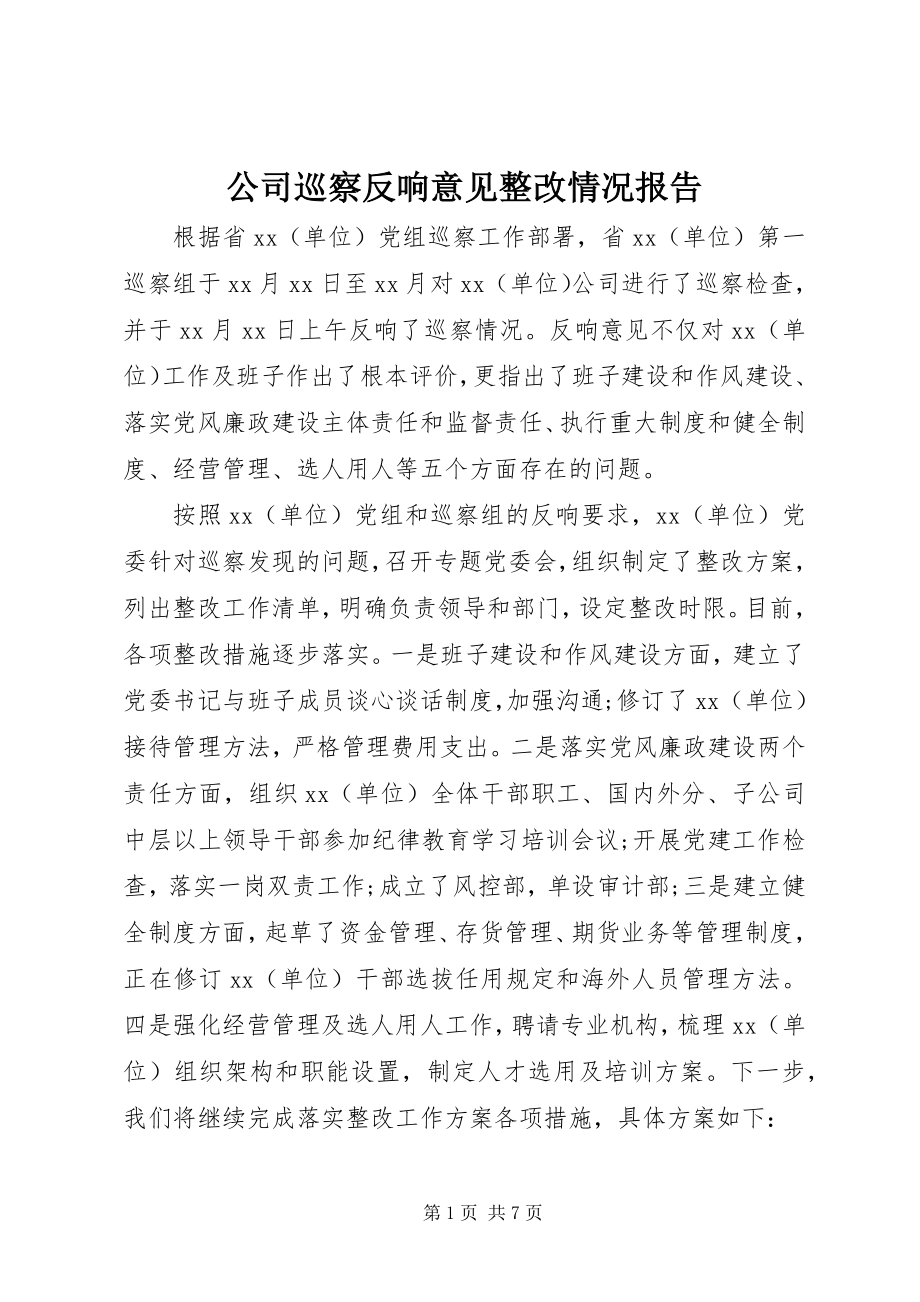 2023年公司巡察反馈意见整改情况报告.docx_第1页