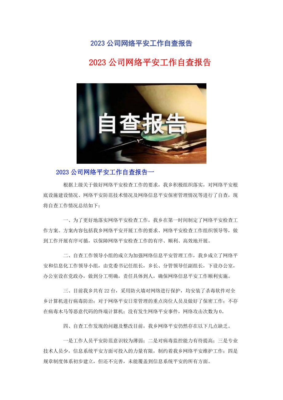 2023年公司网络安全工作自查报告.docx_第1页