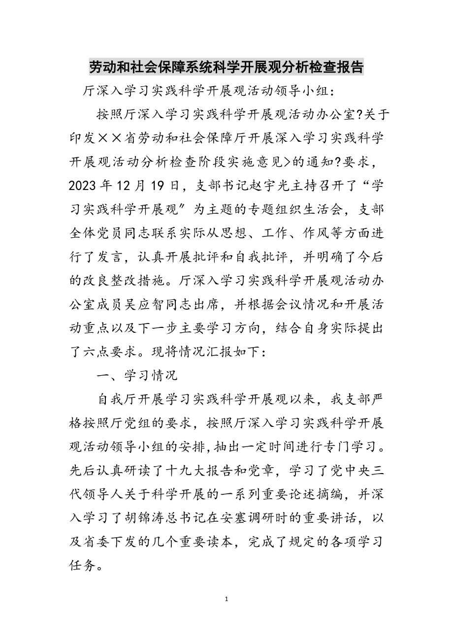 2023年劳动和社会保障系统科学发展观分析检查报告范文.doc_第1页