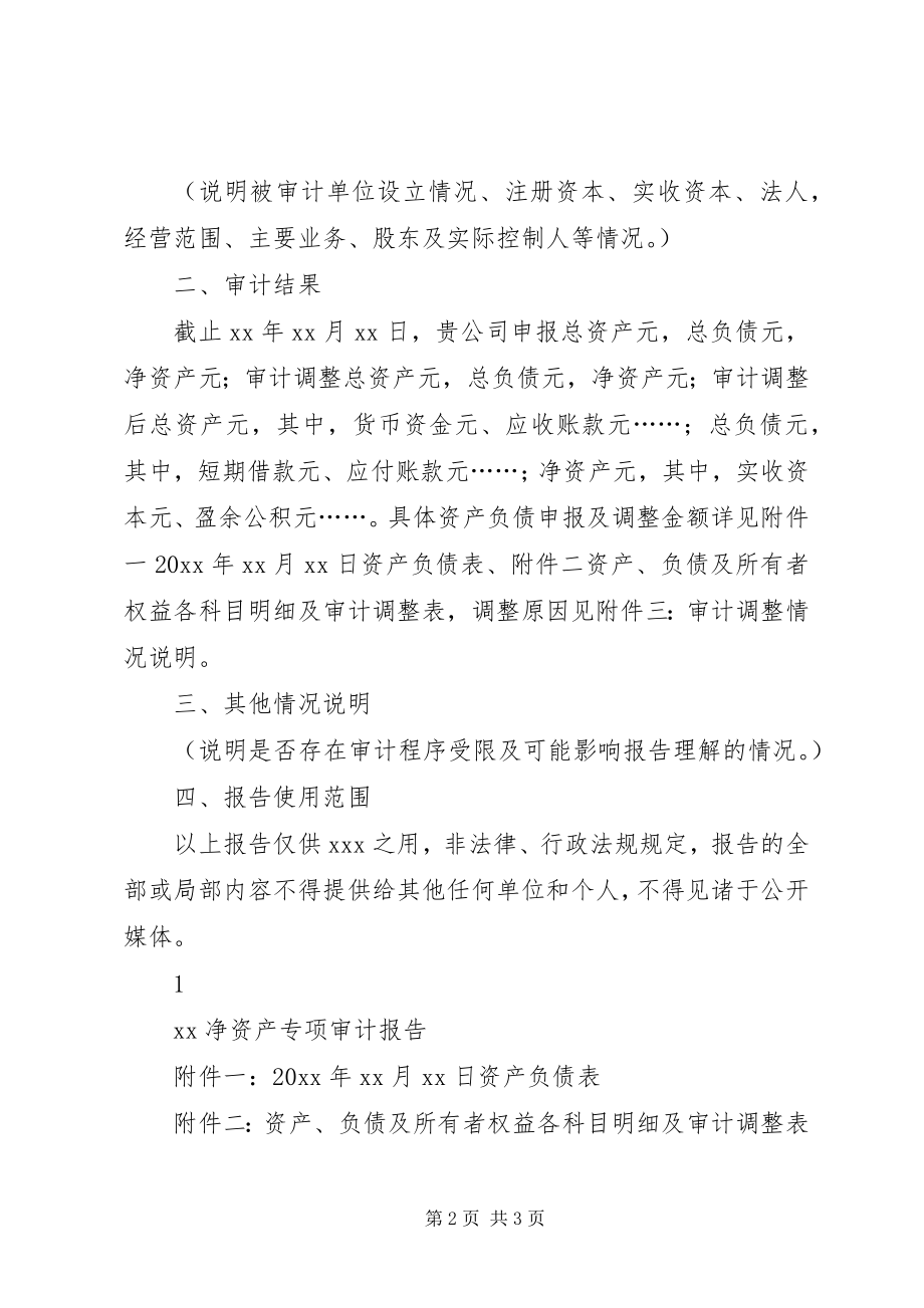 2023年净资产审核报告.docx_第2页