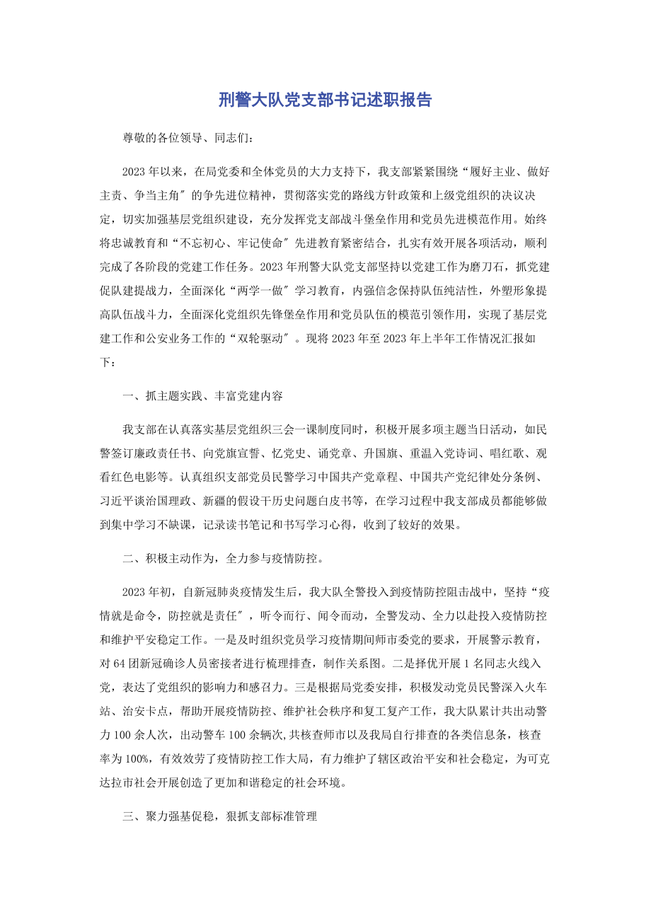 2023年刑警大队党支部书记述职报告.docx_第1页