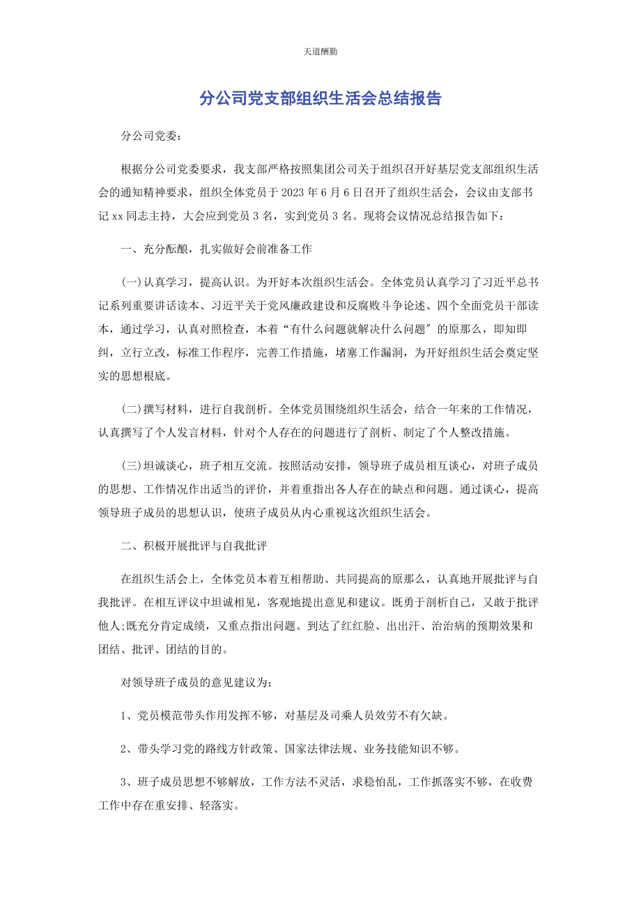 2023年分公司党支部组织生活会总结报告.docx_第1页