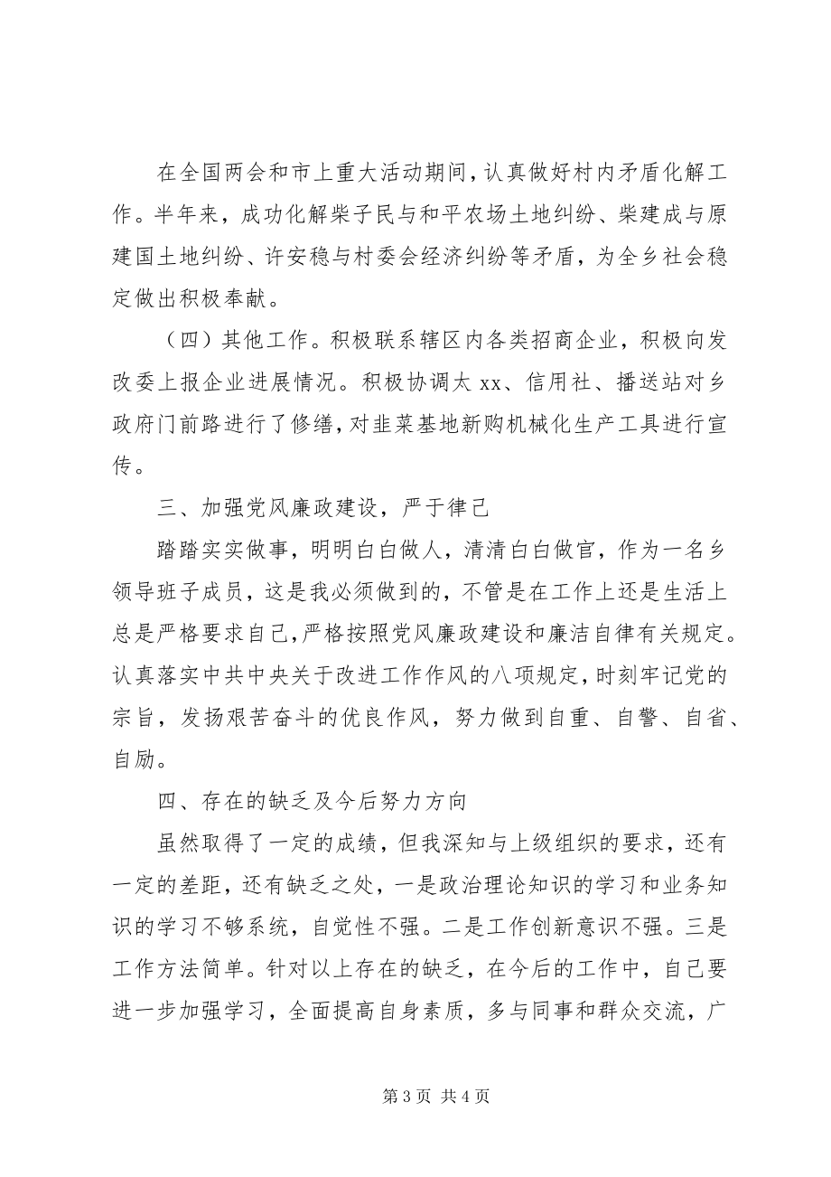 2023年副乡长述职述廉工作报告.docx_第3页