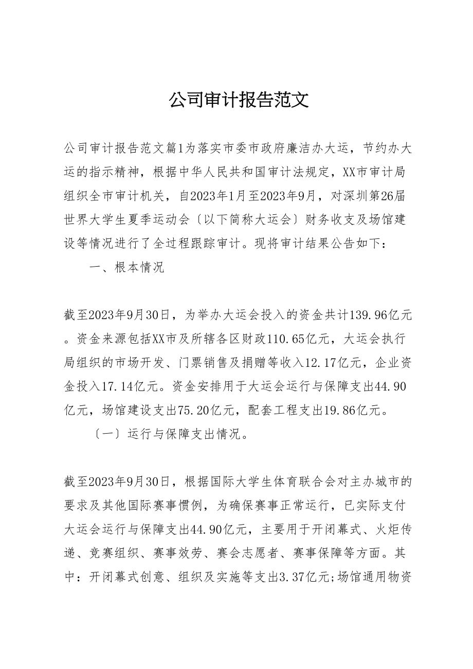 2023年公司审计报告范文.doc_第1页