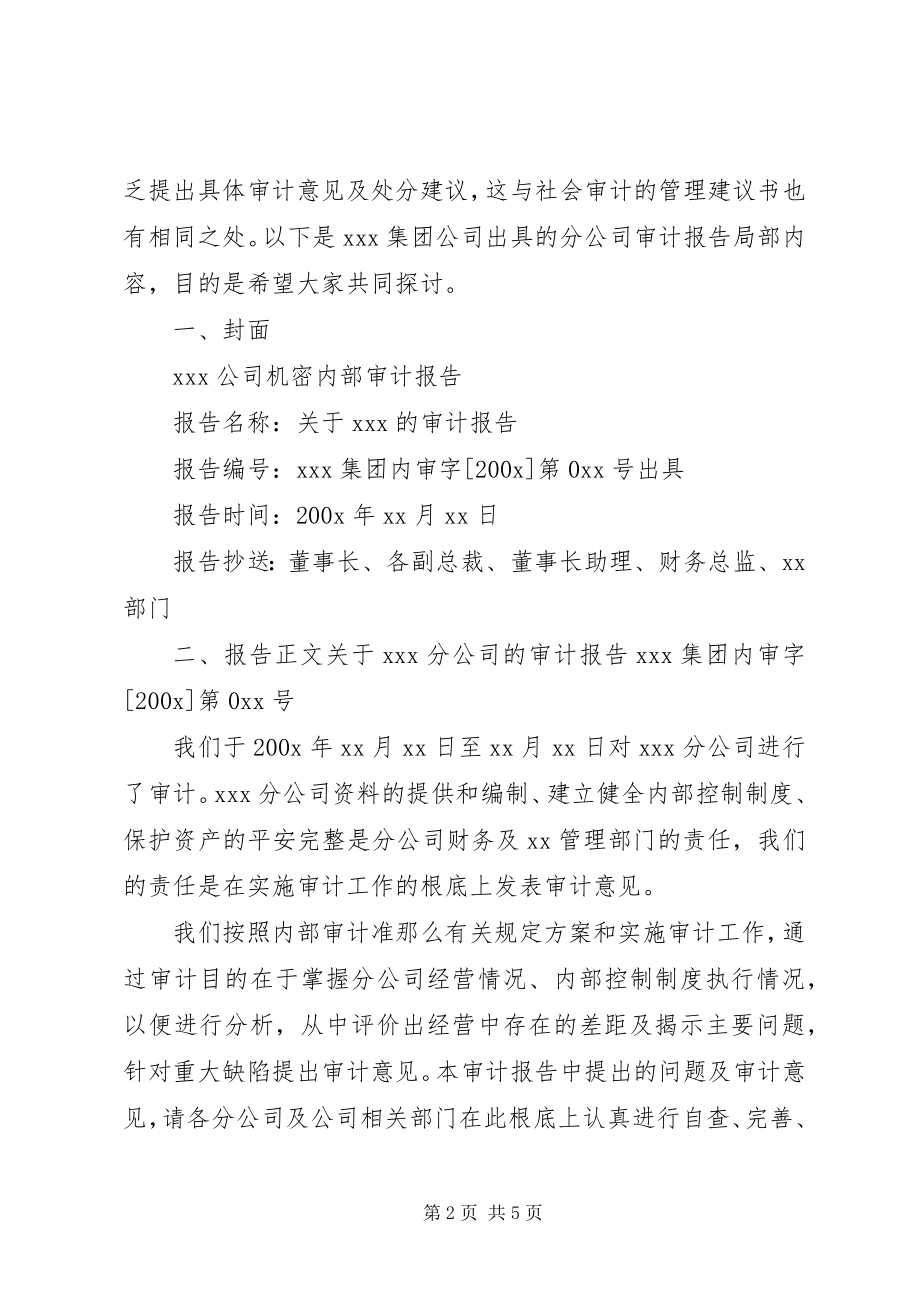 2023年公司财务审计报告共2篇.docx_第2页