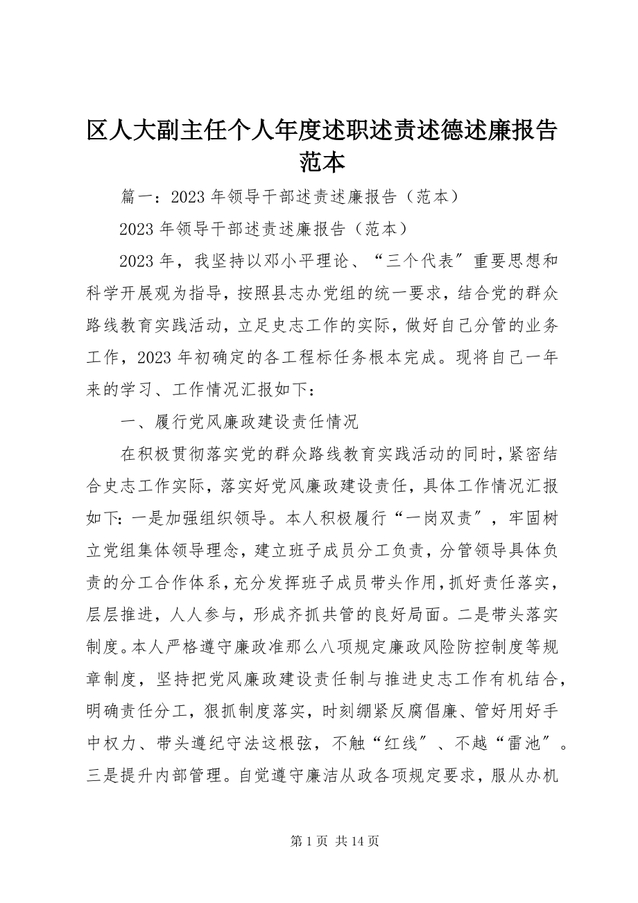 2023年区人大副主任个人年度述职述责述德述廉报告范本.docx_第1页