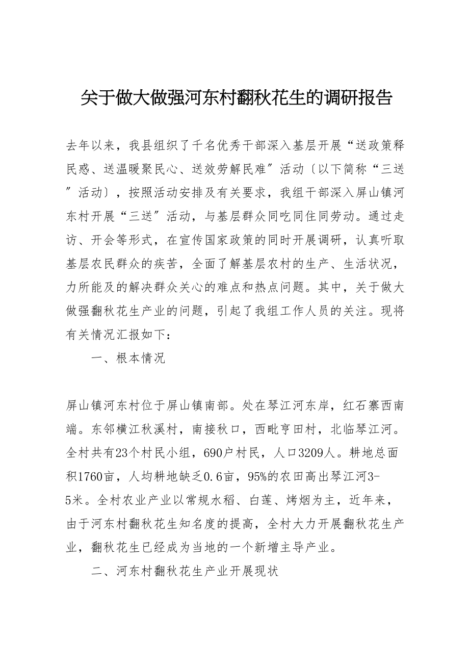 2023年关于做大做强河东村翻秋花生的调研报告.doc_第1页