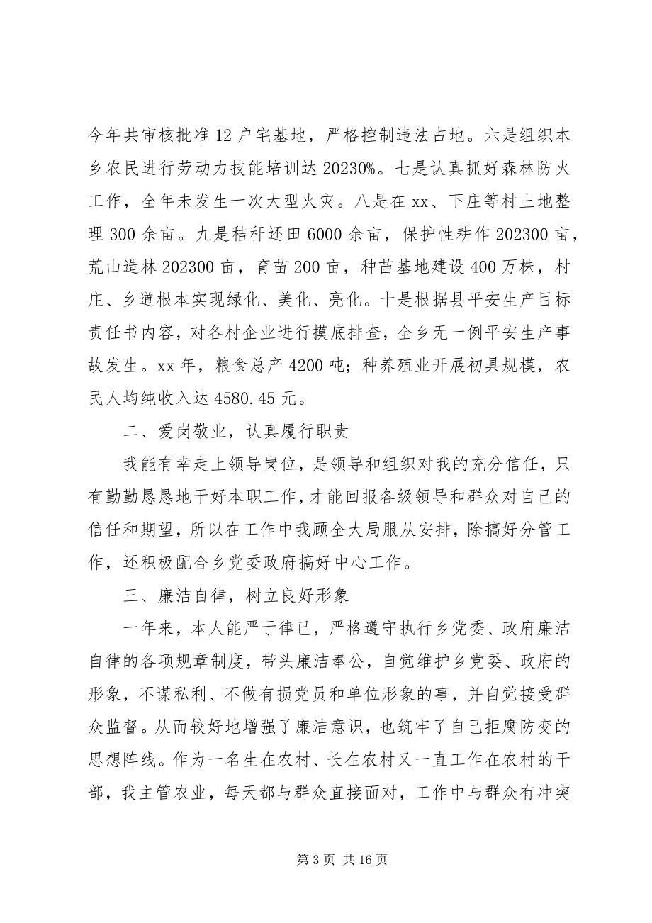 2023年副乡长述职报告大全.docx_第3页