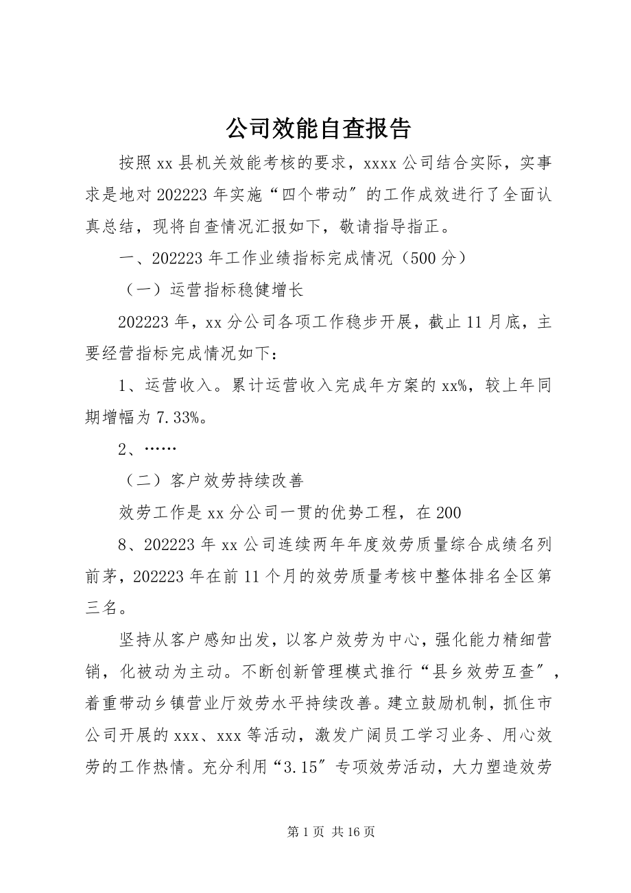 2023年公司效能自查报告.docx_第1页